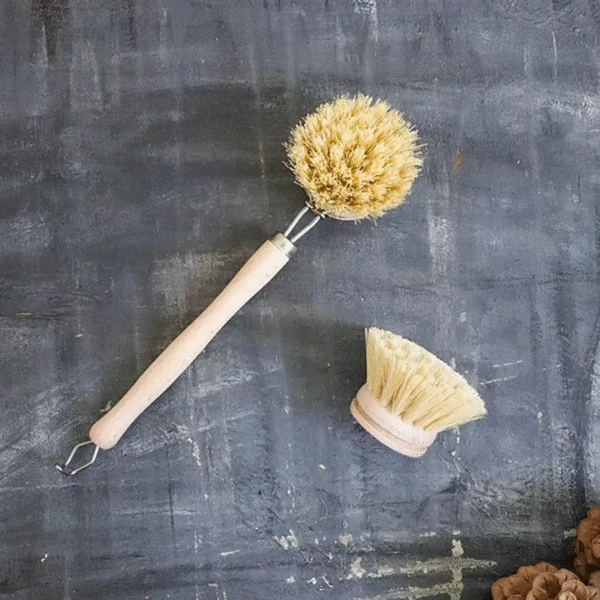 Essential Uses of Kitchen Brushes for Efficient and Eco-Friendly Cleaning