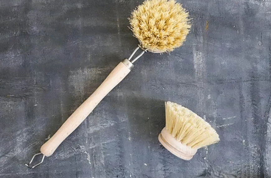 Essential Uses of Kitchen Brushes for Efficient and Eco-Friendly Cleaning
